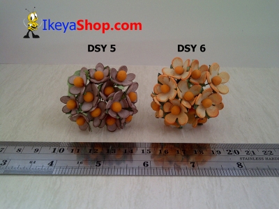 DSY 5 6  large2